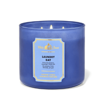 Laundry Day 3-Wick Candle
