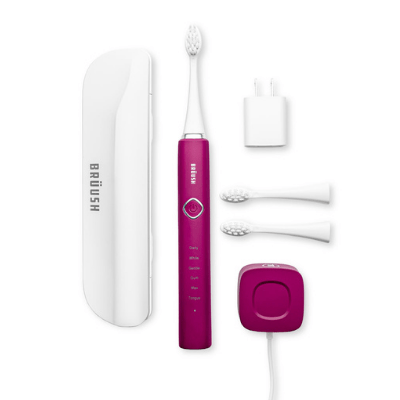 Electric Toothbrush Kit